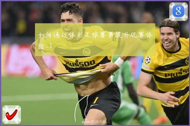 如何通过体彩足球赛事提升观赛体验_1