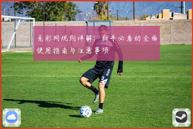 竞彩网规则详解：新手必看的全面使用指南与注意事项