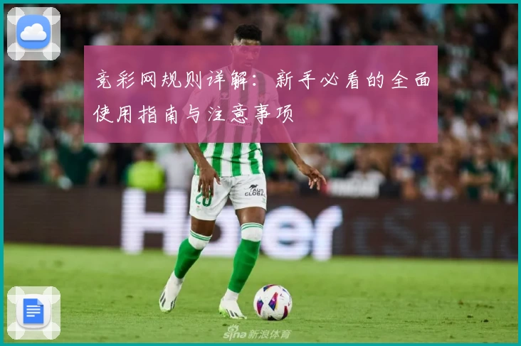 竞彩网规则详解：新手必看的全面使用指南与注意事项